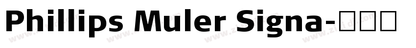 Phillips Muler Signa字体转换